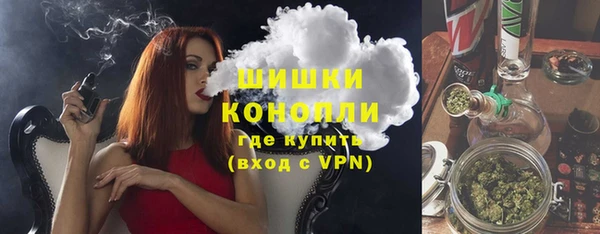ешки Аркадак