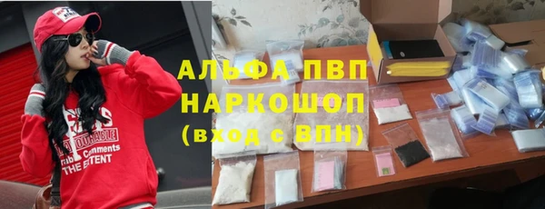 ешки Аркадак