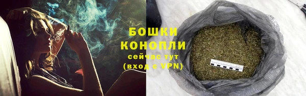 PSILOCYBIN Ладушкин