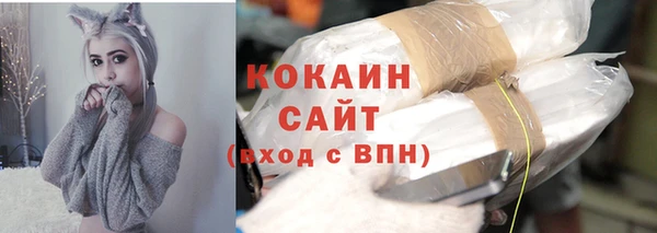ешки Аркадак