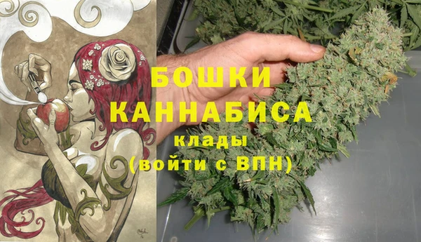ешки Аркадак