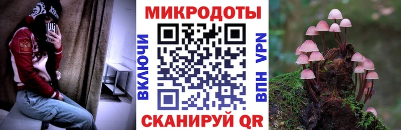 Псилоцибиновые грибы мицелий  hydra ссылки  Долгопрудный  что такое наркотик 
